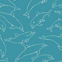Seamless pattern with dolphin. Hand drawn illustration converted to vector. Marine background. vector
