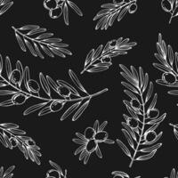 Seamless pattern with olive branches. Hand drawn illustration. vector