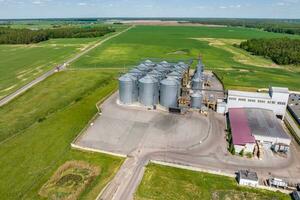 aerial panoramic view on agro-industrial complex with silos and grain drying line for drying cleaning and storage of cereal crops photo