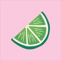 Hand Drawn Textured Lime Slice Illustration vector