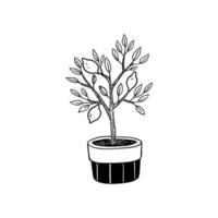 Hand Drawn Illustration. Doodle Outline Potted Lemon Tree vector