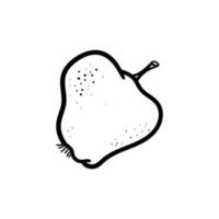 Doodle Outline Quince Or Pear vector