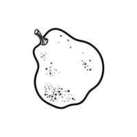 Hand Drawn Illustration. Doodle Outline Quince Or Pear vector