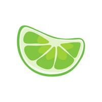 Lime slice vector illustration