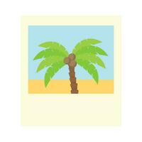 Polaroid photo of a palm tree vector