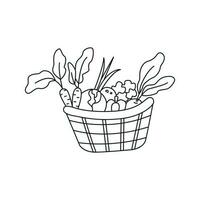 Vector illustration of basket of vegetables