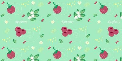 Seamless summer pattern of raspberries on a mint background. EPS10 vector