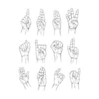 Set number hand collection drawn gesture sketch vector illustration line art