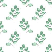 Vector eucalyptus pattern seamless. Gentle light green eucalyptus leaves, botanical branches repeat background, floral wedding or new born baby wallpaper, print, textile design.