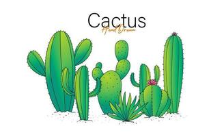 Cactuses and succulents  illustration for background design vector