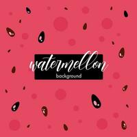 Pink watermelon background with seeds vector