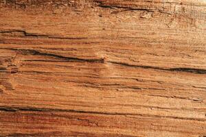 The texture of untreated old wood with cracks. photo