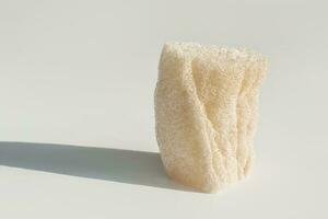 Loofah natural sponge on the white background. photo