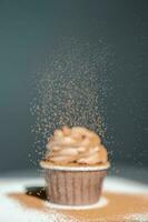 Cupcake on a dark background, which is sprinkled on top. photo
