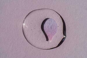 A drop of transparent cosmetic gel with flowers on a purple background. photo