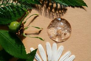 A drop of cosmetic gel on a beige background surrounded by plants and leaves. photo