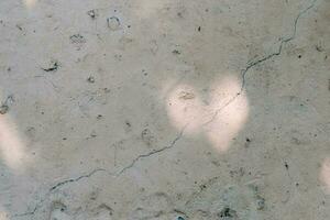 The shadow of the tree leaves on the old beige wall. photo