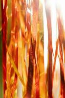 Abstract atmospheric background of tinsel with bokeh. photo