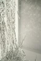 Abstract white and silver background with bokeh. photo