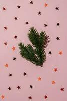 Background with a fir branch and stars on a pink background. photo