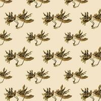 Dried leaves on a beige background. Autumn background. photo