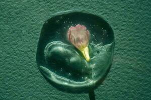 un soltar de cosmético gel con un flor en un verde antecedentes. foto