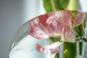 Beautiful abstract background with flowers and vases. photo