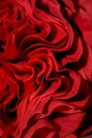 Floral background of red rose petals close-up. photo