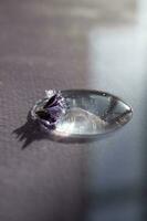 A drop of cosmetic gel with lavender flower on a purple background. photo