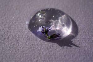 un soltar de cosmético gel con lavanda flor en un púrpura antecedentes. foto