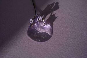 A drop of cosmetic gel with lavender flower on a purple background. photo