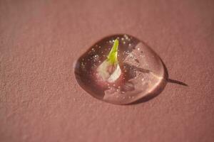 A drop of cosmetic gel with a flower on a pink background. photo