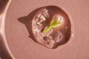 A drop of cosmetic gel with a flower on a pink background. photo