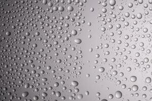 Drops of water on a transparent gray background. photo