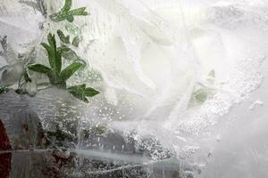 Transparent white ice with flowers frozen in it. photo