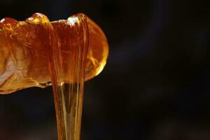 Sugaring paste drips from a wooden stick on a dark background. photo