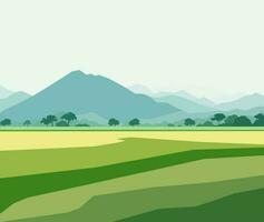 hermosa campo de arroz paisaje con montañas vector ilustración