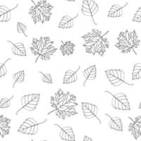 Autumn seamless pattern of autumn maple and birch leaves on a transparent background. Line art style, doodle. for wrapping, poster, card, cover. Outline repeat for scrapbooking, textile, craft paper vector