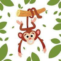 Cute monkey in the forest swinging on a branch vector