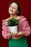 emotional girl with flower pot posing red background photo