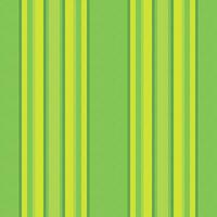 Pattern texture textile of stripe seamless background with a lines vertical vector fabric.