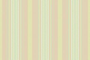 Texture background textile of fabric vector lines with a pattern seamless stripe vertical.