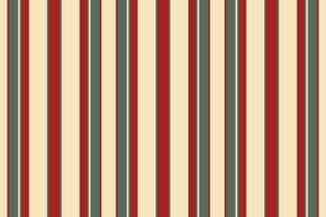 Vertical stripes seamless pattern. Lines vector abstract design. Stripe texture suitable fashion textiles.