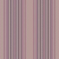 Lines fabric stripe of texture background vector with a pattern vertical seamless textile.