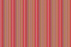 Pattern fabric vertical of vector seamless lines with a stripe background texture textile.