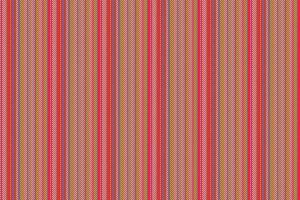 Pattern fabric vertical of vector seamless lines with a stripe background texture textile.