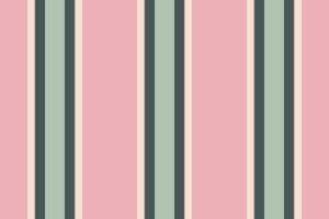 Vertical stripe texture of fabric pattern seamless with a background lines textile vector. vector