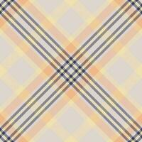 Plaid pattern vector. Check fabric texture. Seamless textile design for clothes, paper print. vector