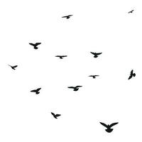 Silhouette sketch of a flock of flying birds, flight in different positions. Hover, soaring, landing, flying, flutter vector