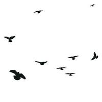 Silhouette sketch of a flock of flying birds, flight in different positions. Hover, soaring, landing, flying, flutter vector